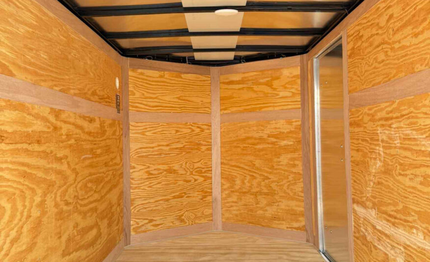 New 6×10 CYNERGY CARGO Enclosed Trailer
